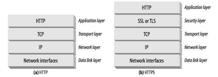 tcp-layer